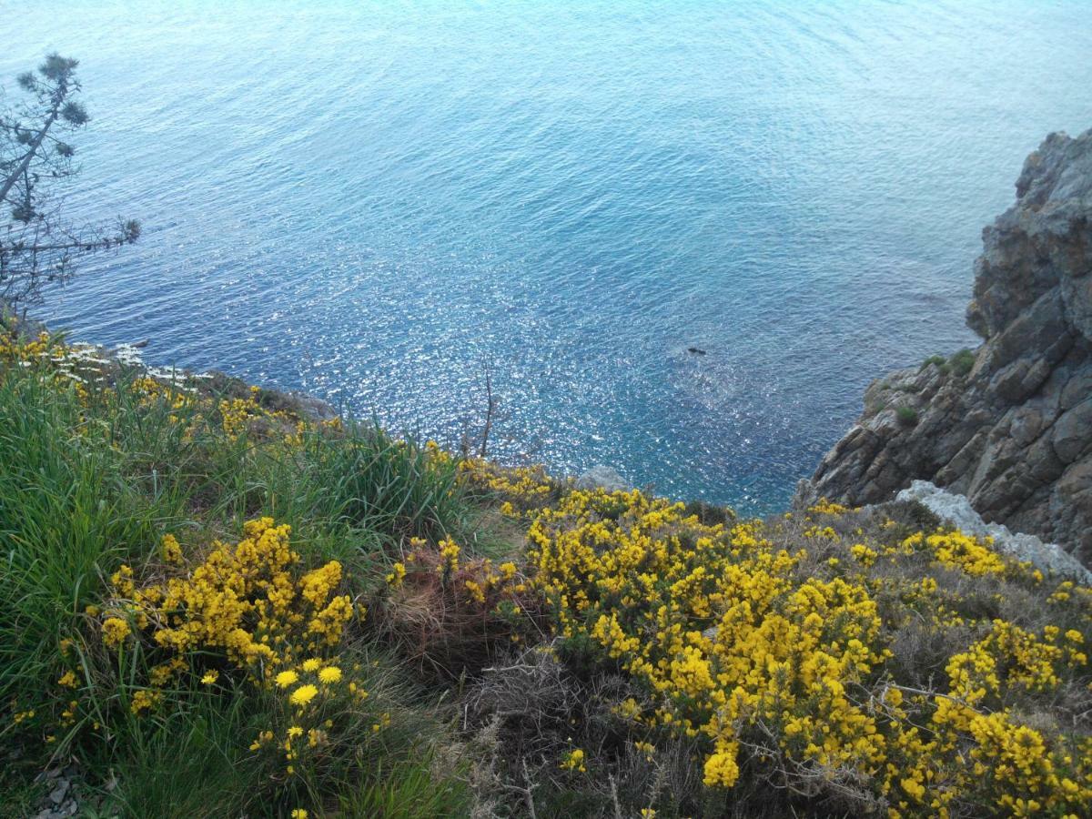 Le Petit Coin De Paradis * Roscanvel
